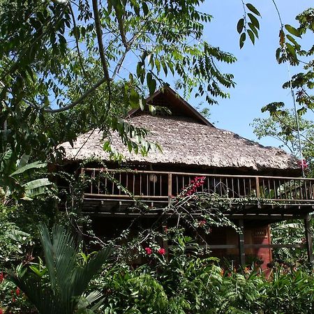 La Ceiba Reserva Natural Puerto Viejo de Talamanca 외부 사진
