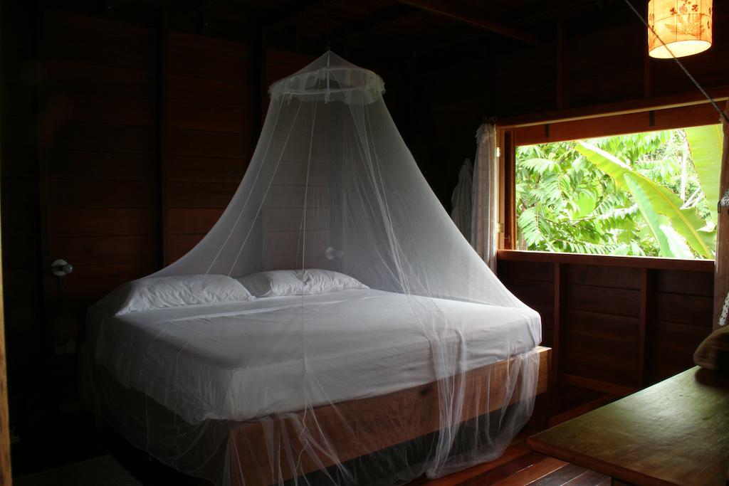 La Ceiba Reserva Natural Puerto Viejo de Talamanca 외부 사진