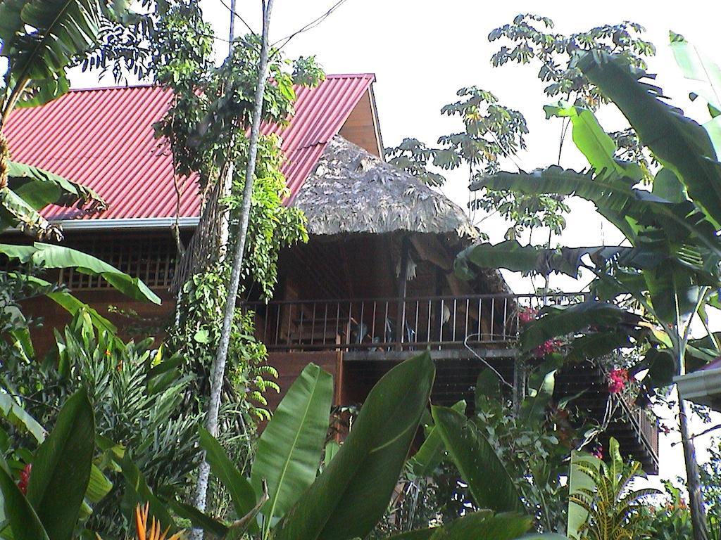 La Ceiba Reserva Natural Puerto Viejo de Talamanca 외부 사진